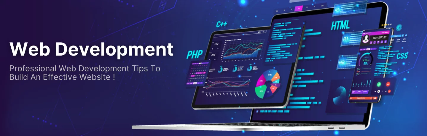 Professional Web Development