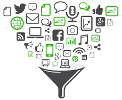 Primewayz Brand Curation